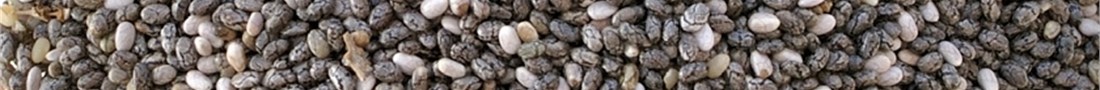 Chiasamen: Superfood. Supergut.