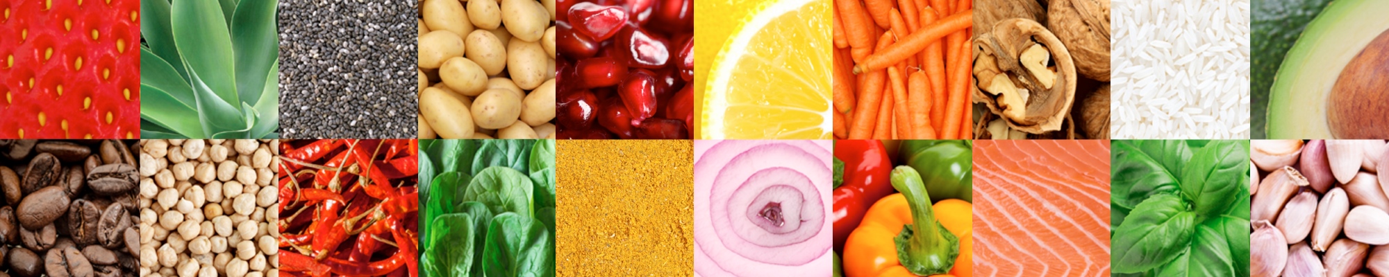 Illustration Collage