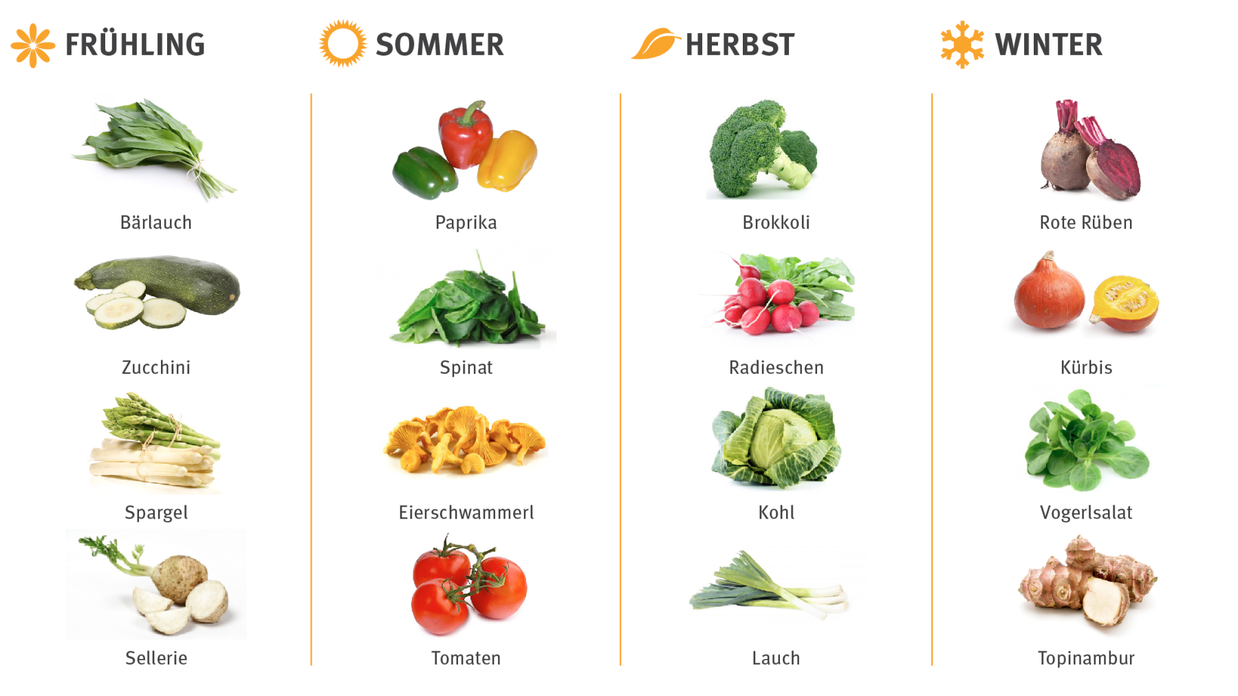 Gemüse in den Jahreszeiten
